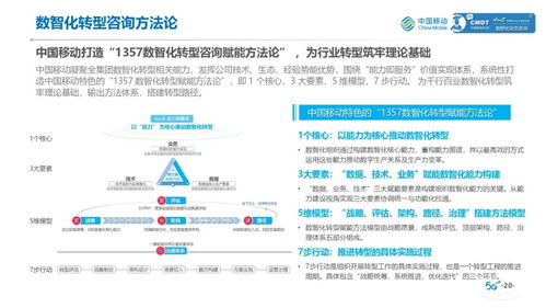 中國(guó)移動(dòng)礦山行業(yè)數(shù)智化轉(zhuǎn)型咨詢服務(wù)白皮書